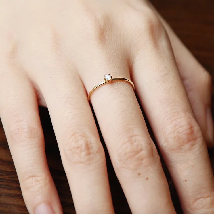 48509069230377|48509069263145|48509069295913|48509069328681|48509069361449|48509069394217