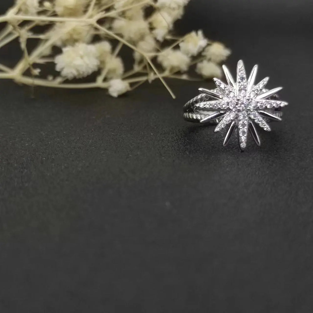 47807645024553|47807645188393|47807645876521|47807646040361